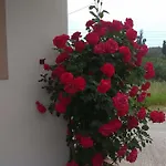 Romeo & Juliet 3*