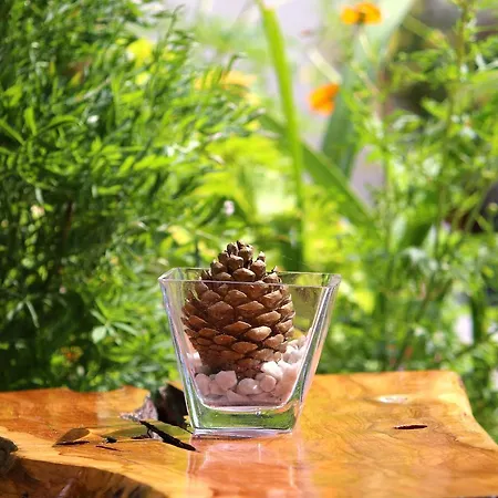 Aparthotel Romeo & Juliet