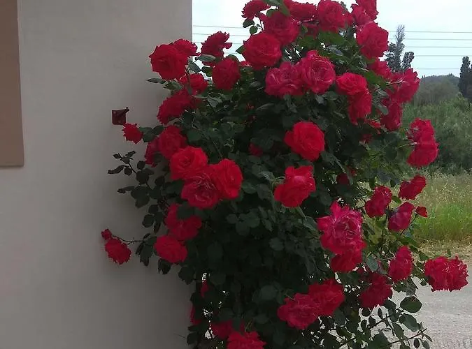 Romeo & Juliet 3*